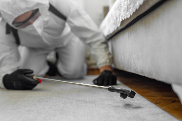 Professional Cockroach Control technician working in Sheboygan, WI