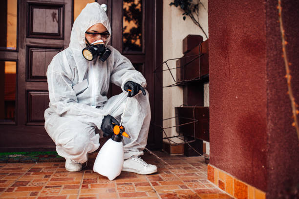 Reliable Cockroach Control contractor in Sheboygan, WI by Nex Pest Control